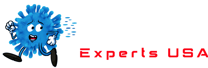 Tampa Mold Remediation Experts